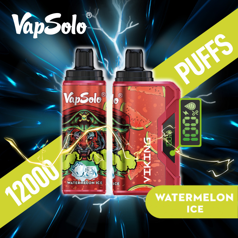 VAPSOLO Viking 12000puff 10PCS/BOX