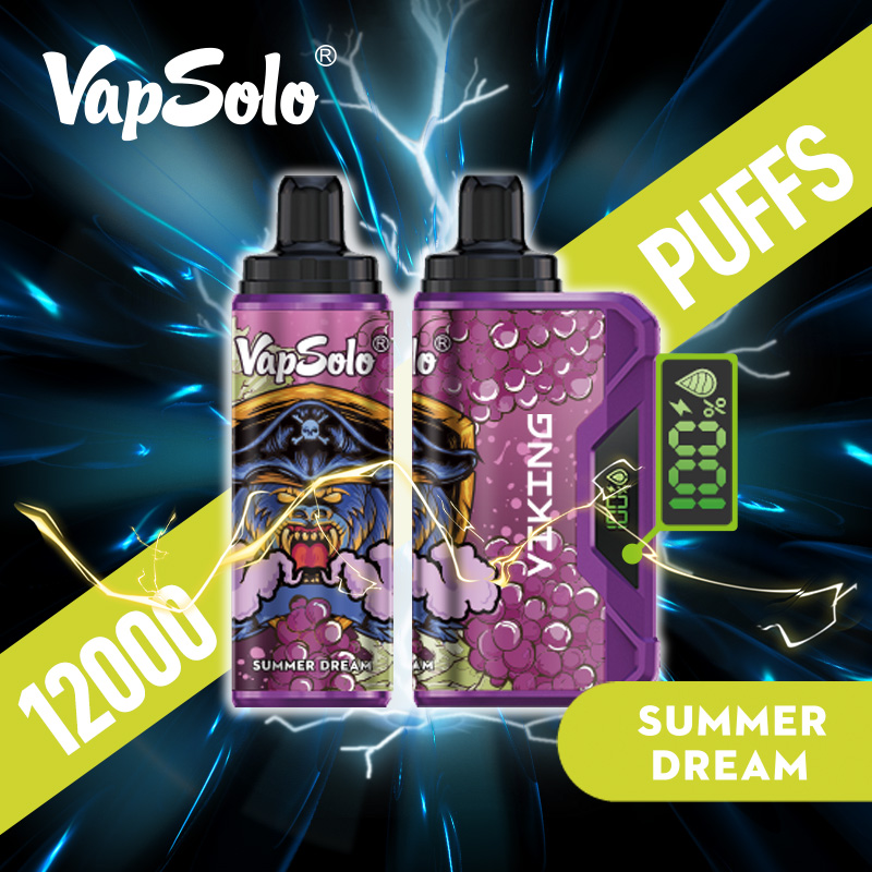 VAPSOLO Viking 12000puff 10PCS/BOX