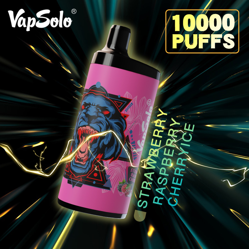 VAPSOLO KING 10000puff 10PCS/BOX