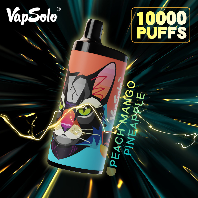 VAPSOLO KING 10000puff 10PCS/BOX