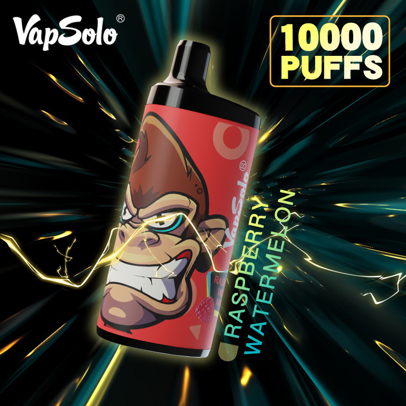 VAPSOLO KING 10000puff 10PCS/BOX