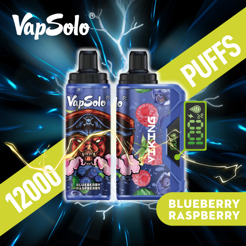 VAPSOLO Viking 12000puff 10PCS/BOX