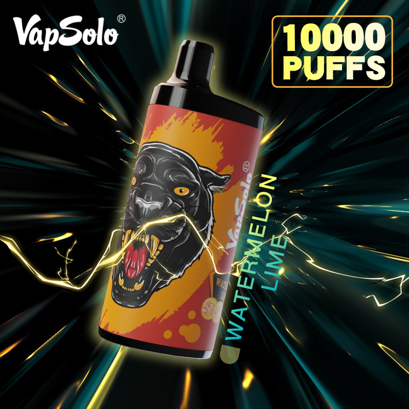 VAPSOLO KING 10000puff 10PCS/BOX