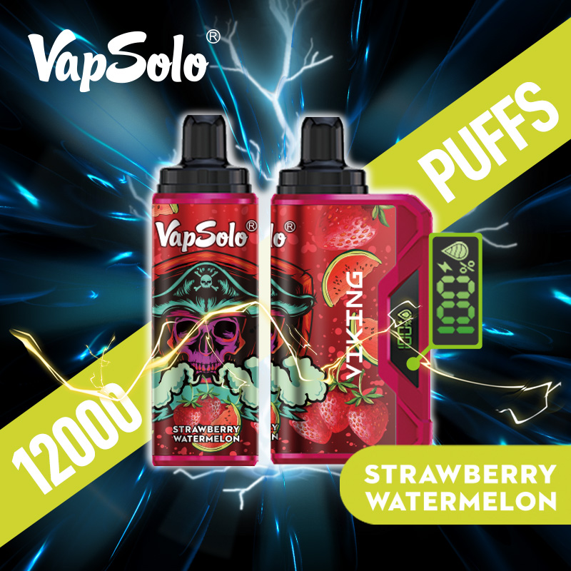 VAPSOLO Viking 12000puff 10PCS/BOX