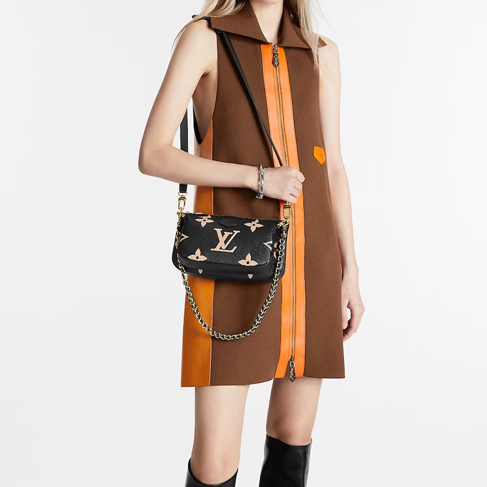 LV Multi Pochette Accessoires Bag