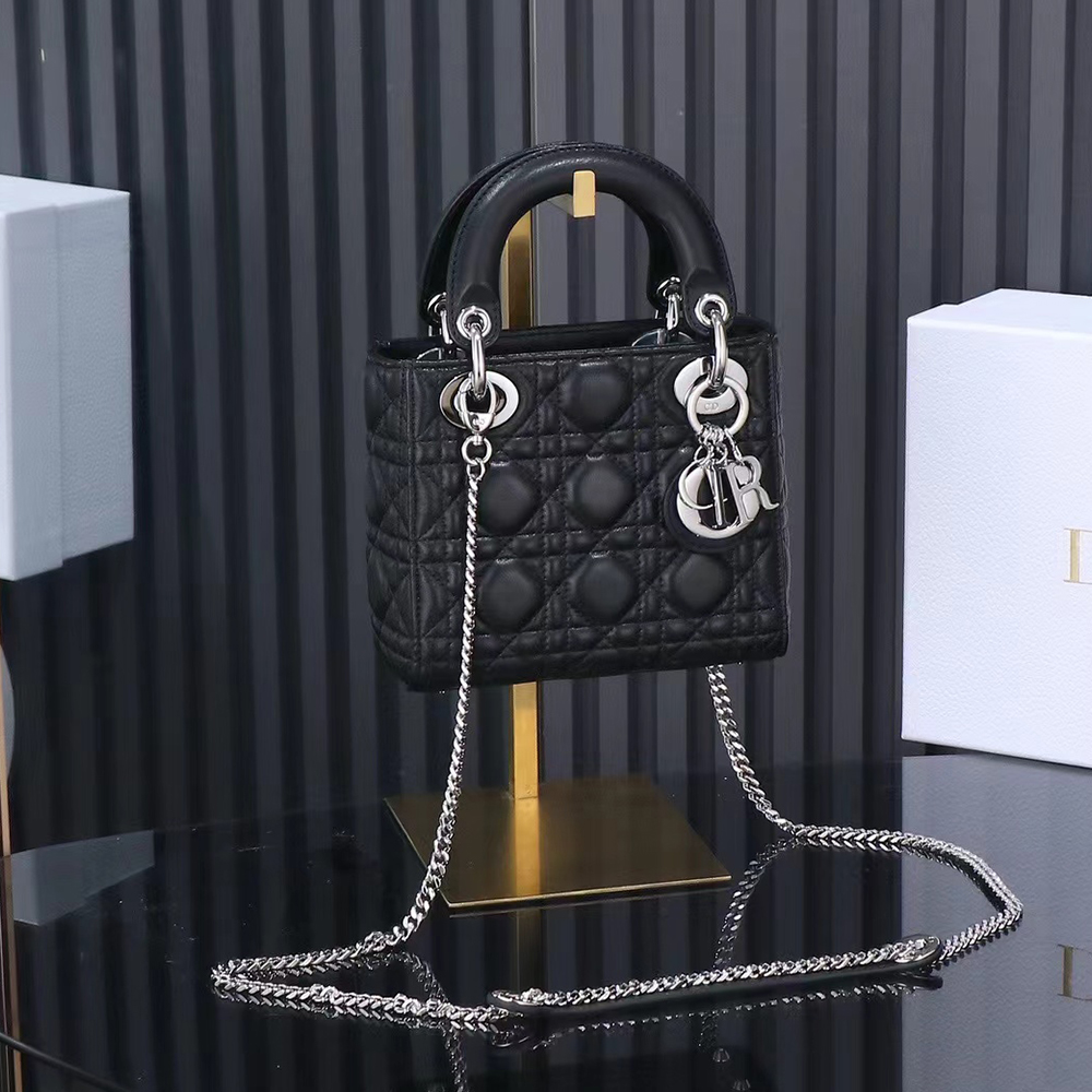 DIOR Lady Dior Bag