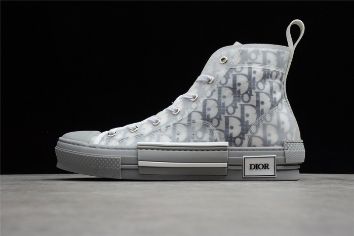 Dior B23 OBLIQUE HIGH low Shoes T00480H073