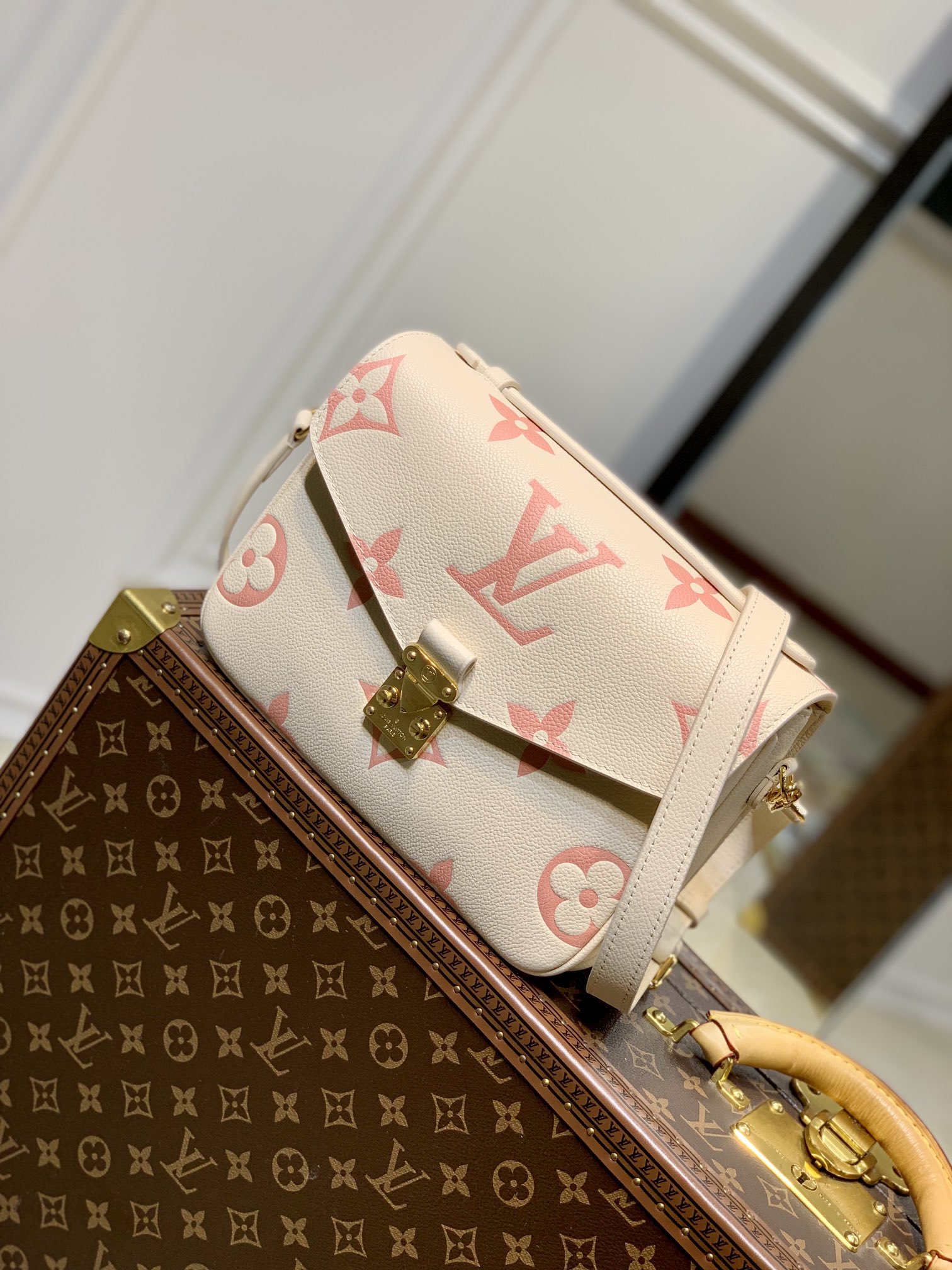 Pochette Metis M45573