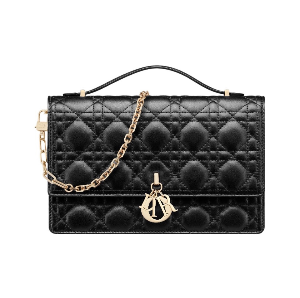 DIOR Lady  My Dior Small Bag