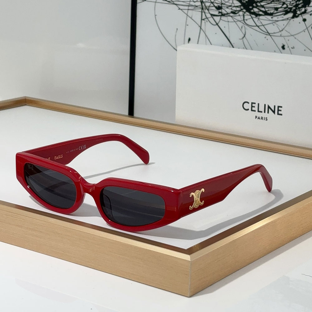 Celine  Patterned Frame  sunglasses Top quality