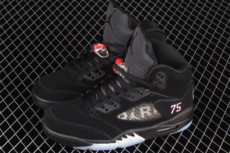 Air Jordan 5 Paris Saint-Germain AV9175-001