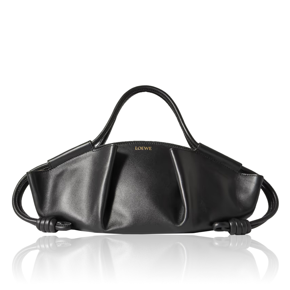 Loewe Shiny Nappa Calfskin Paseo Bag