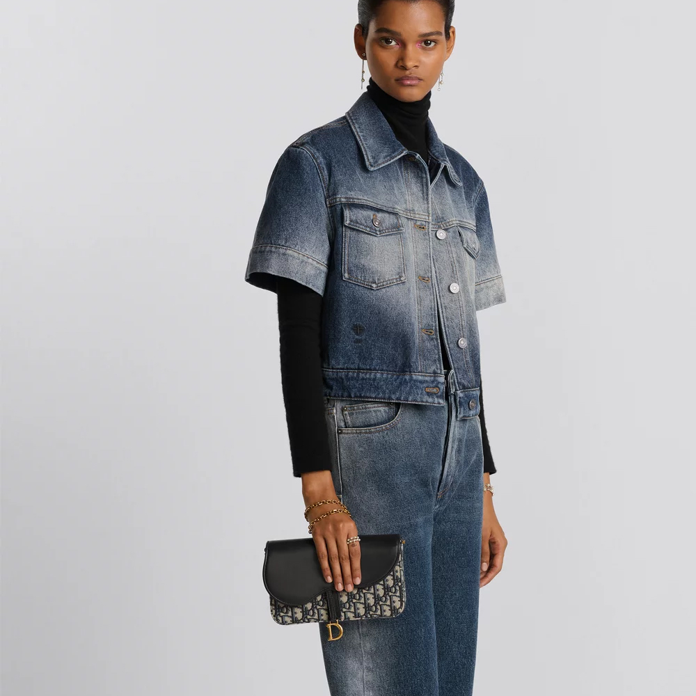 Dior Saddle Chain Bag