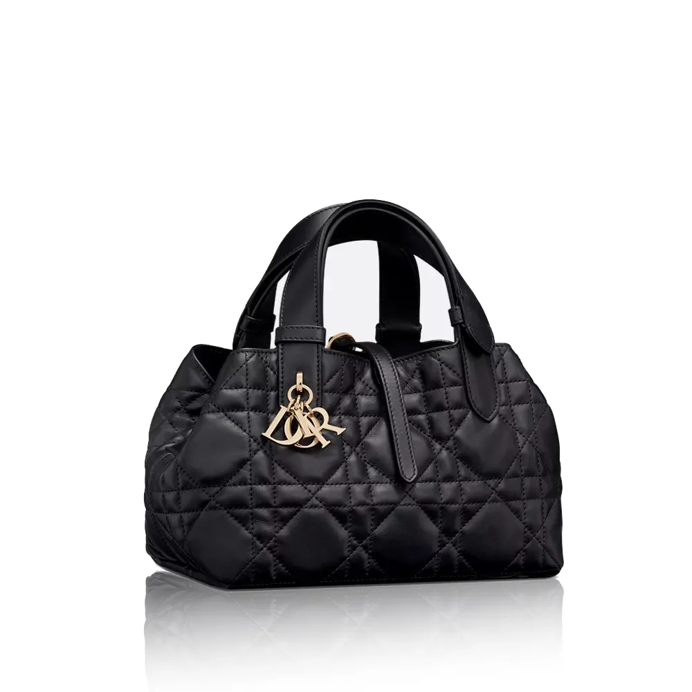 Dior Small Toujours Bag