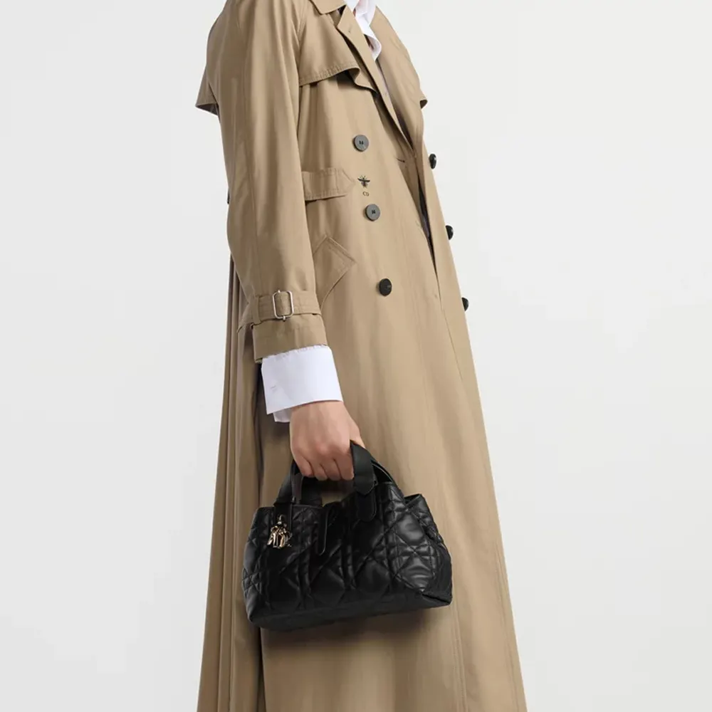 Dior Small Toujours Bag