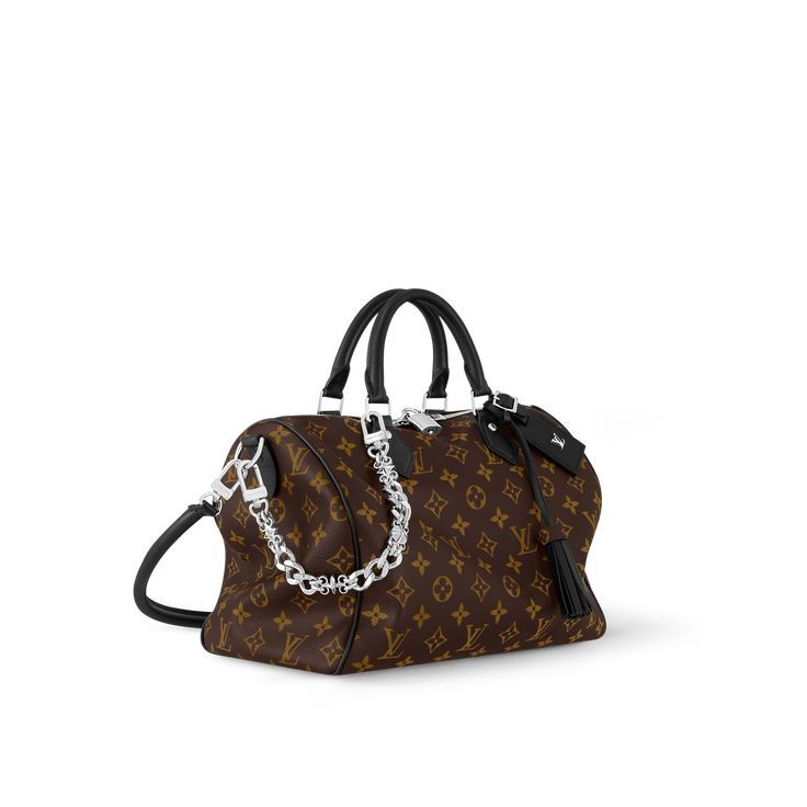 LV Speedy Soft 30 Bag