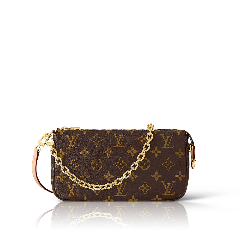 LV Pochette Accessoires Bag