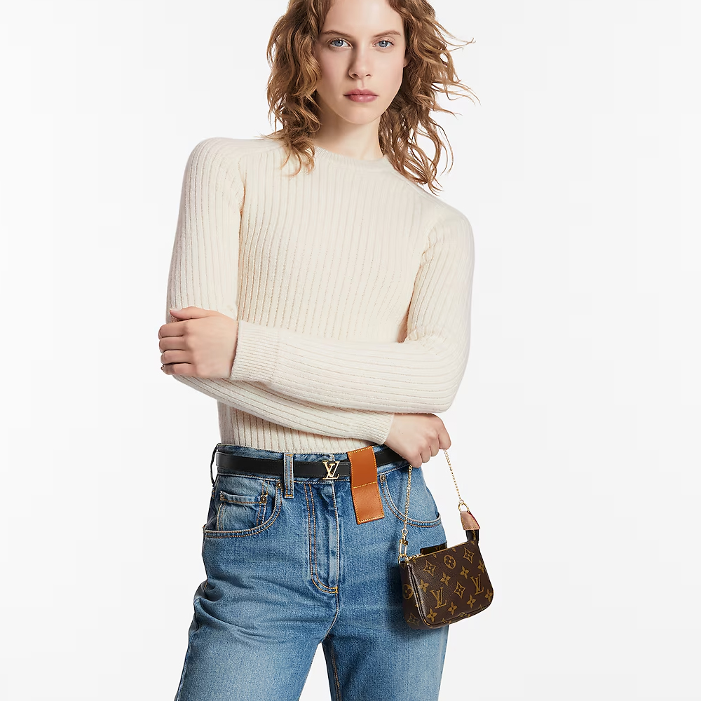 LV Mini Pochette Accessoires Bag