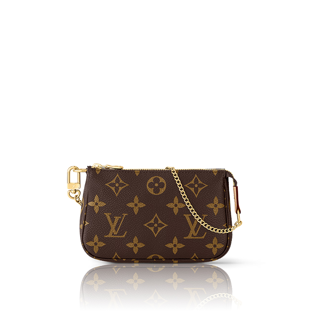 LV Mini Pochette Accessoires Bag