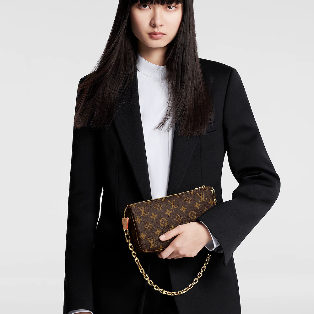 LV Pochette Accessoires Bag