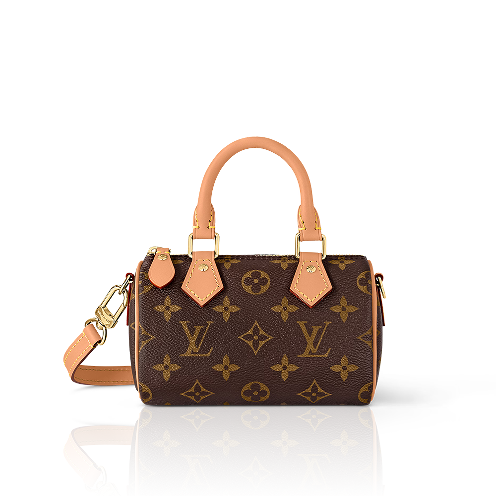 LV Nano Speedy Bag