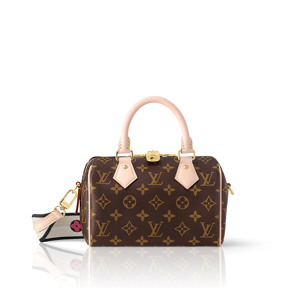 LV Speedy Bandoulière 20 Handbag