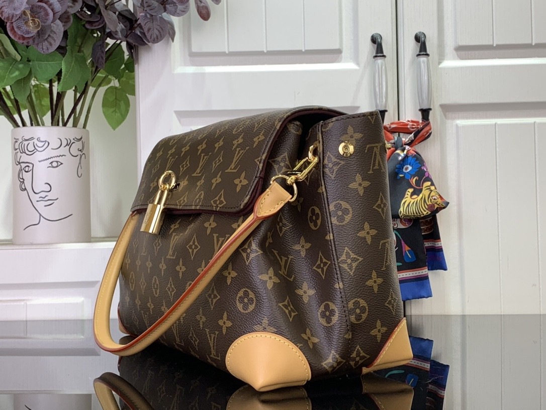LV Hide Away MM Monogram Bag
