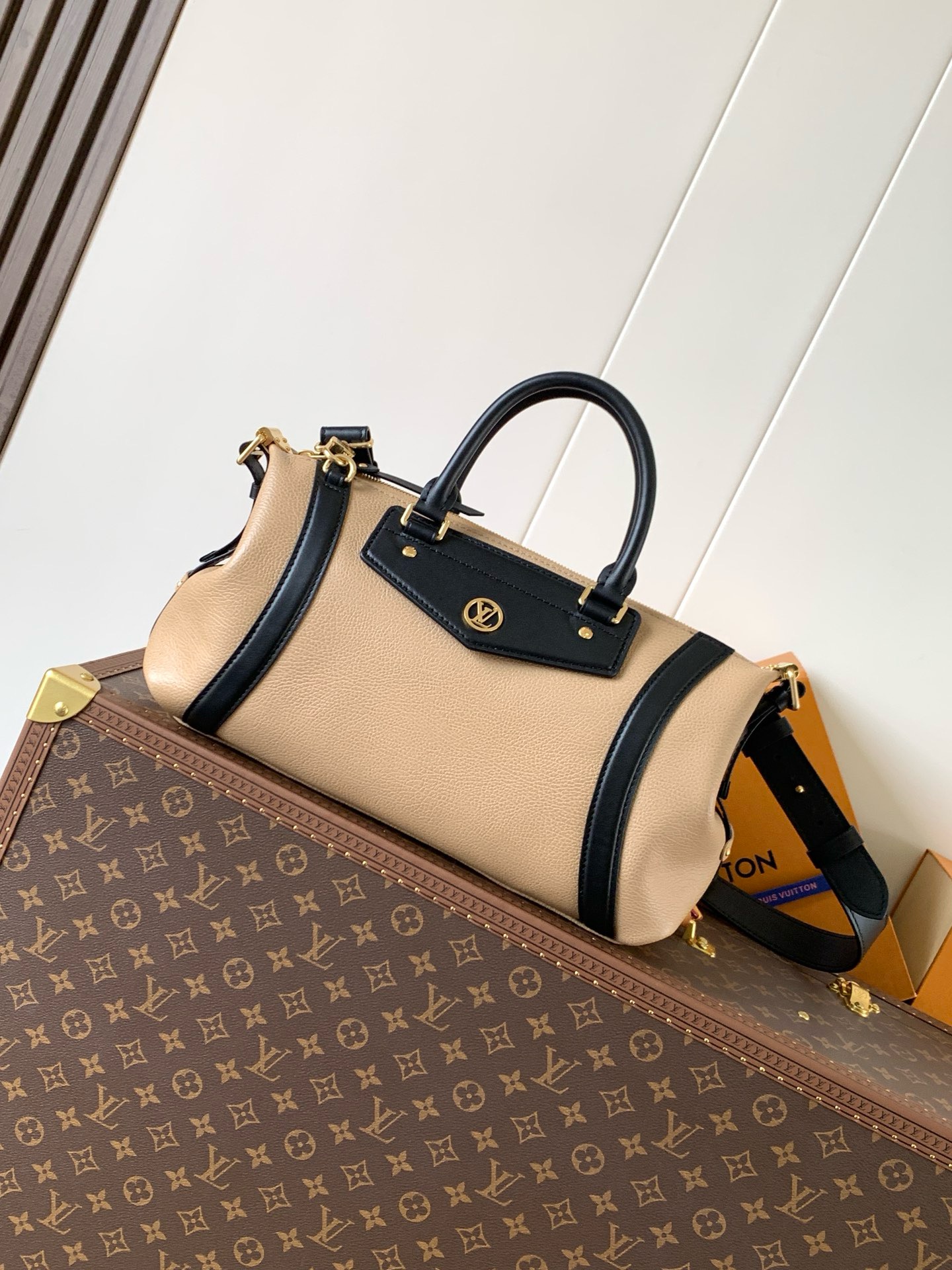 LV Biker PM H27 Handbags