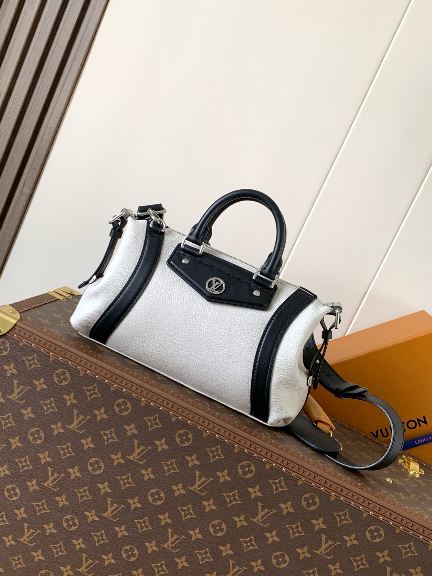 LV Biker PM H27 Handbags