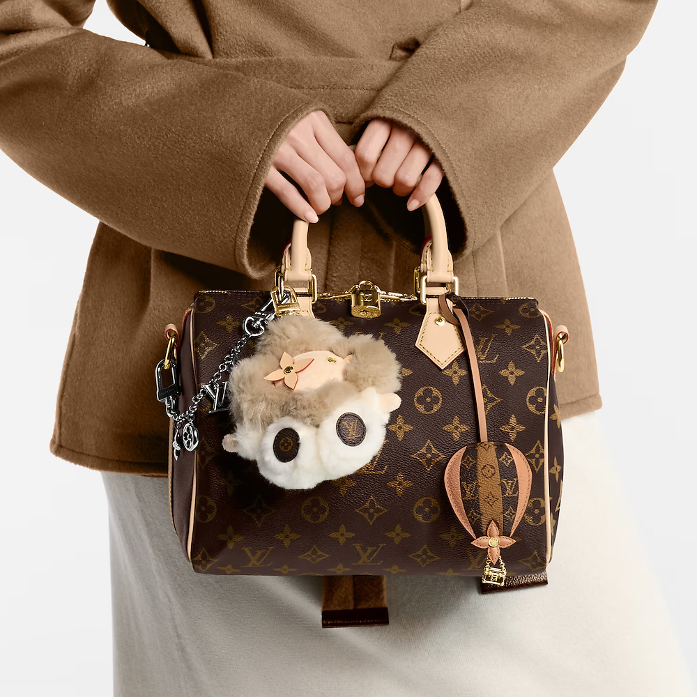 LV Speedy Bandoulière 25 Top Handle Bag