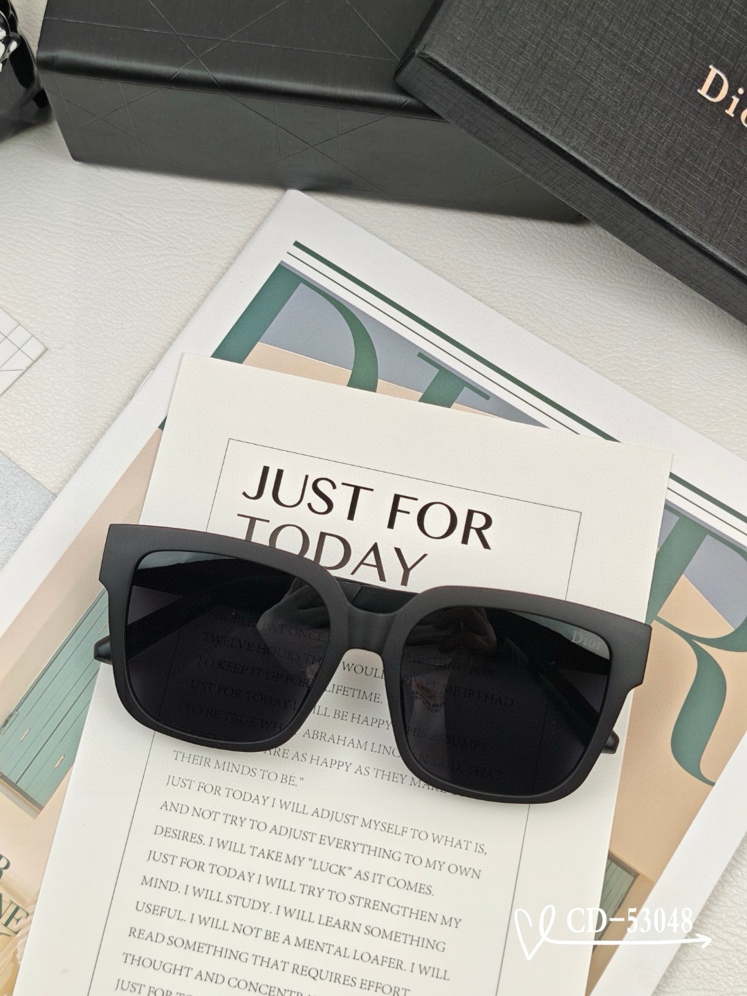 Dior Polaroid resin polarized Sunglasses