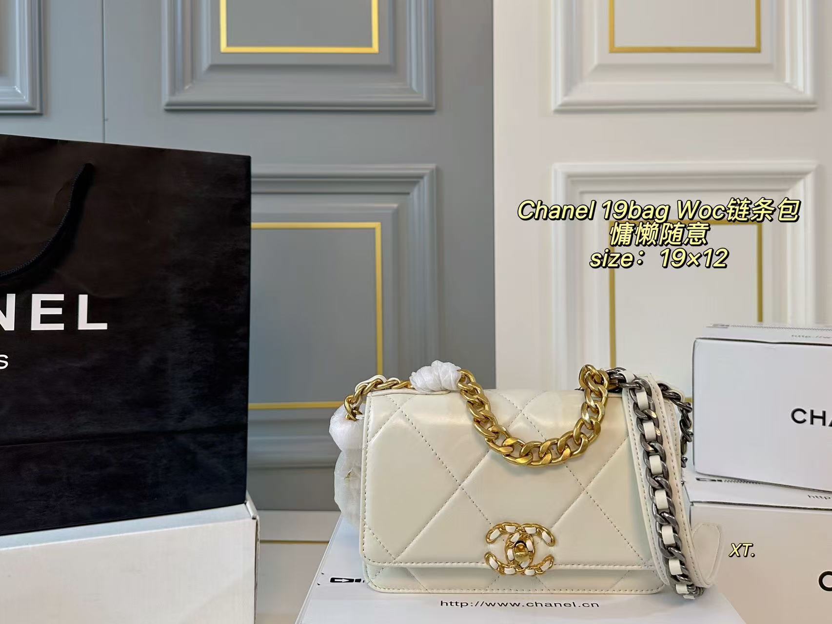 Chanel 19 Bag WOC Wallet on Chain