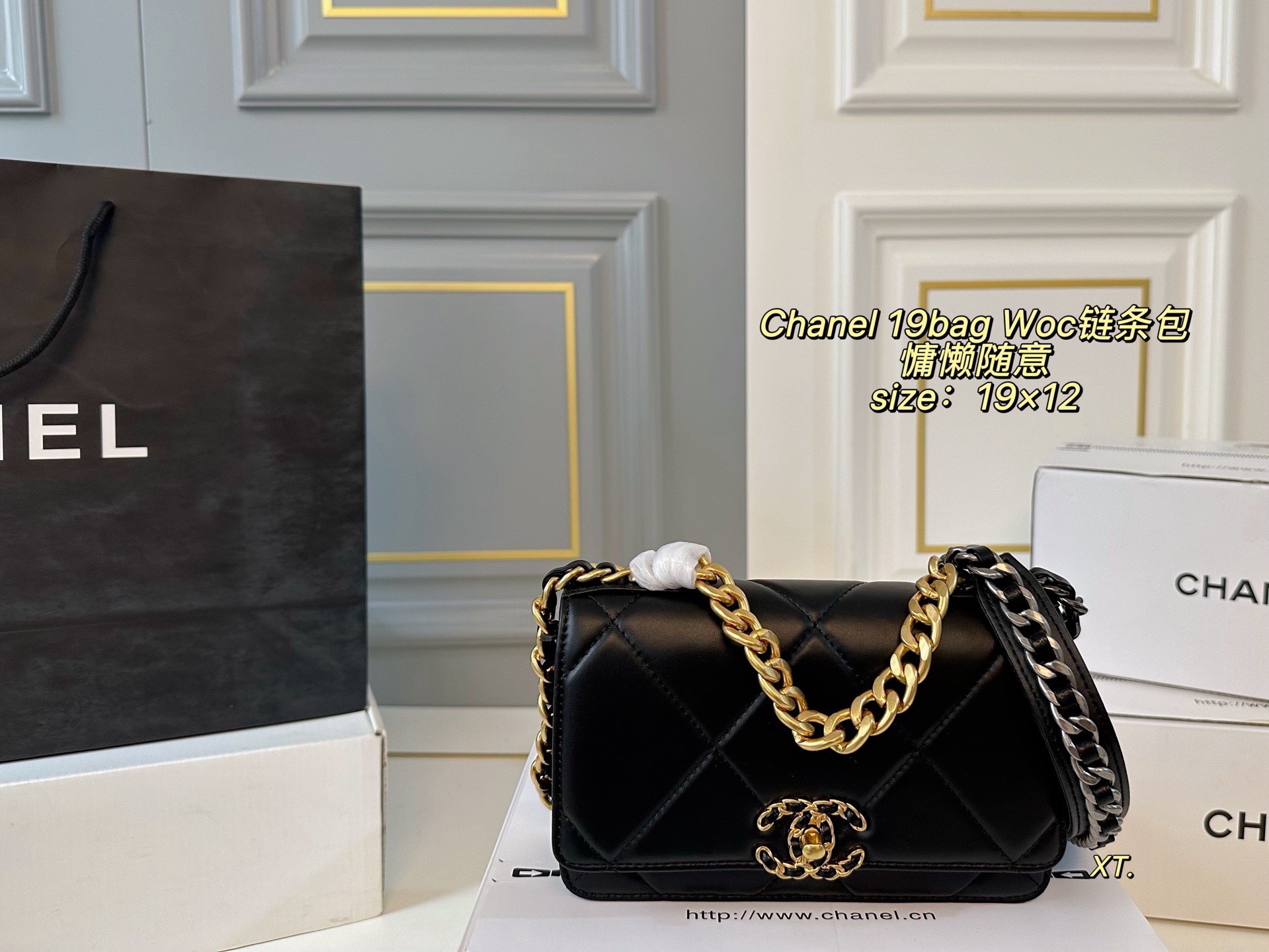 Chanel 19 Bag WOC Wallet on Chain