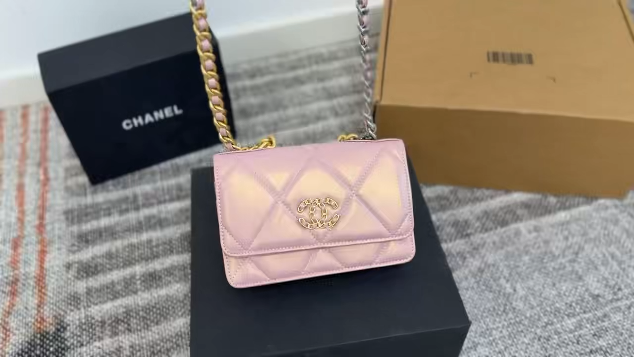 Chanel 19 Woc fortune bag
