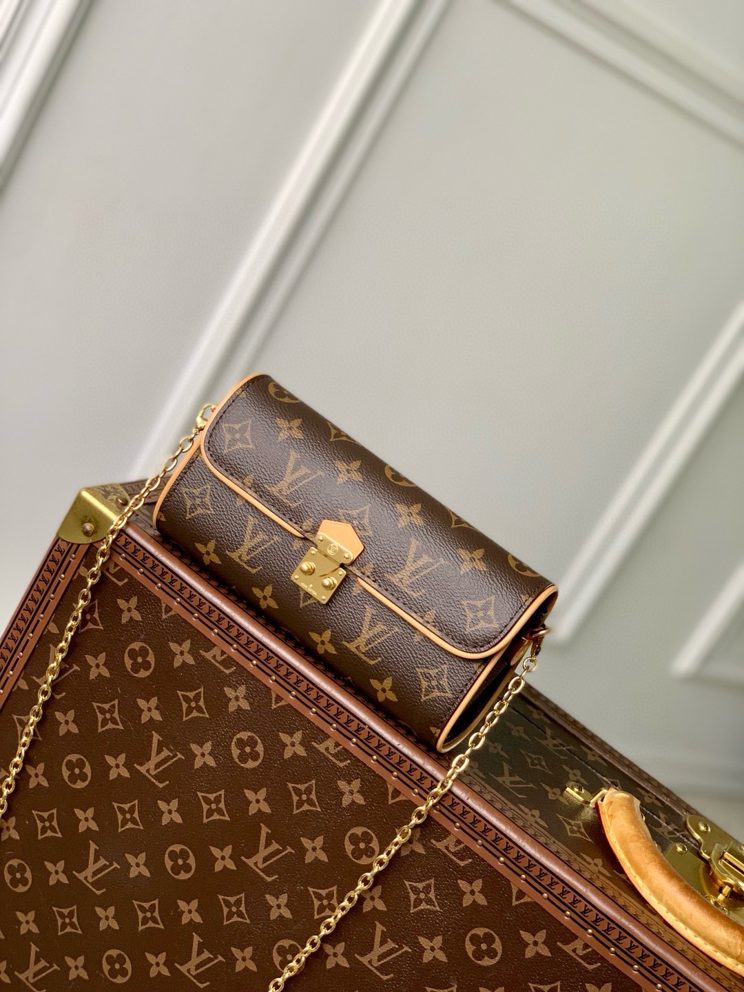 LV Pochette Camille Bag