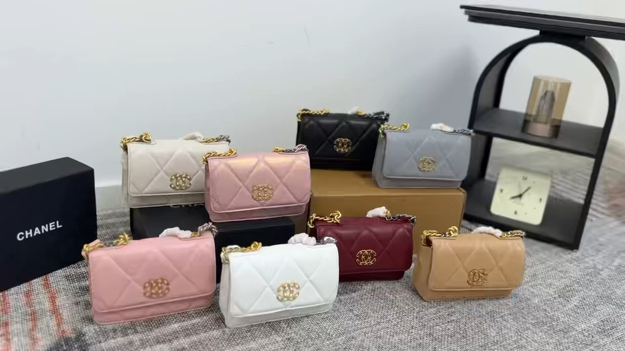 Chanel 19 Woc fortune bag