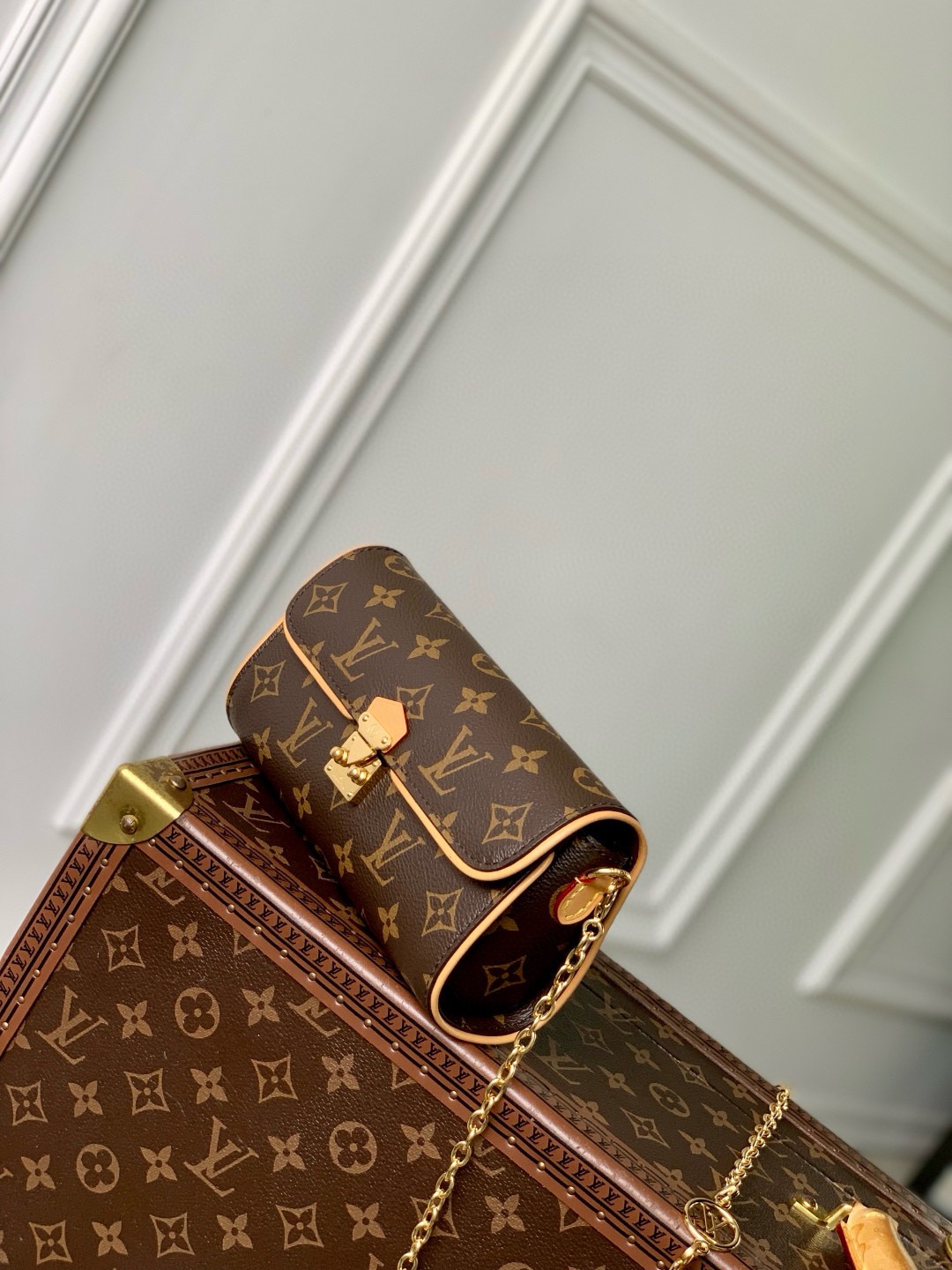 LV Pochette Camille Bag