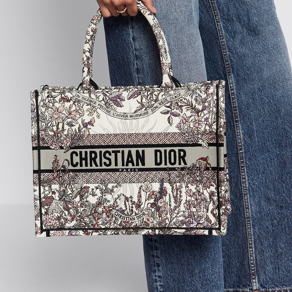 Dior Book Tote Bag