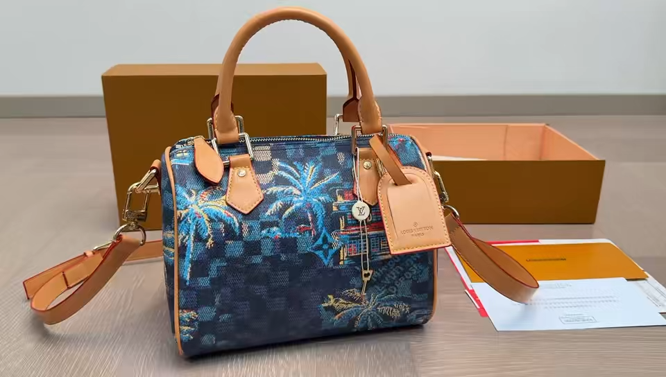 LV Speedy Pillow Bag