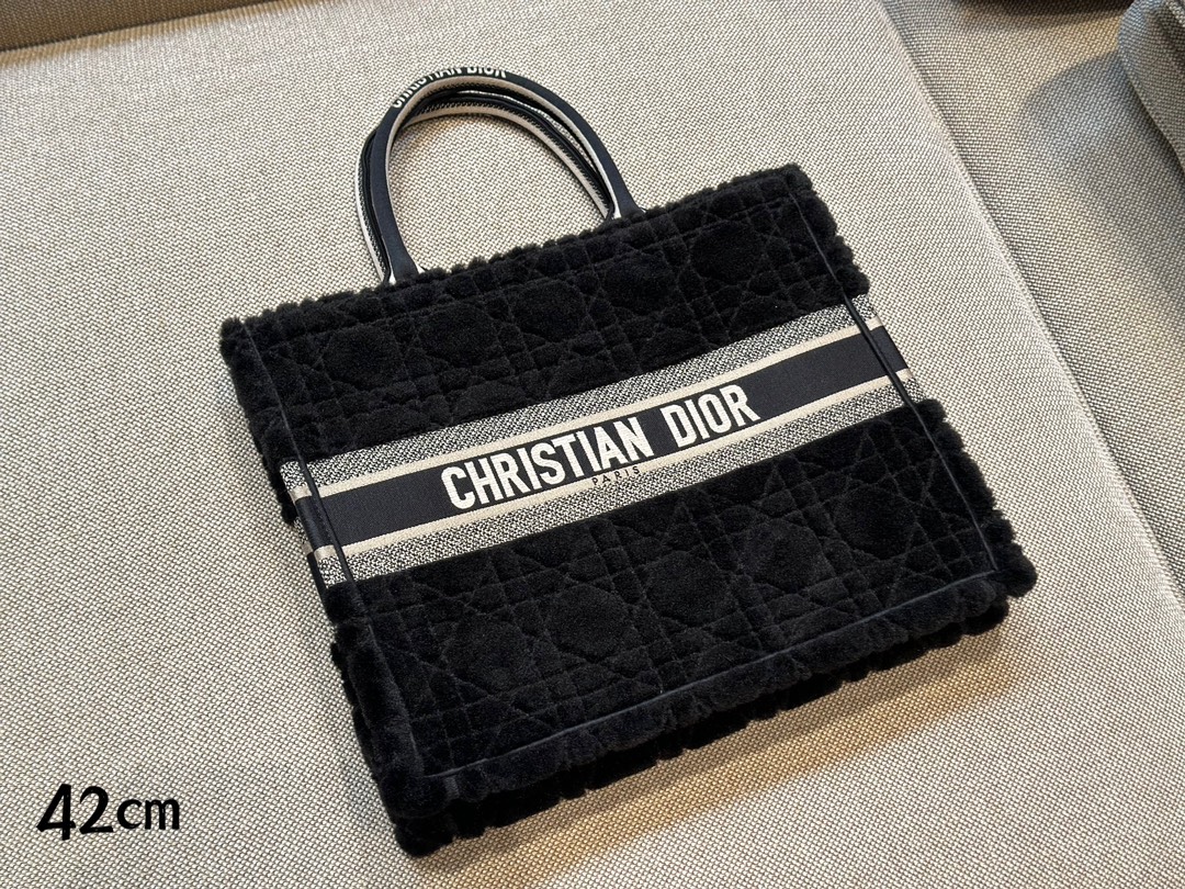 Dior Book Tote bag