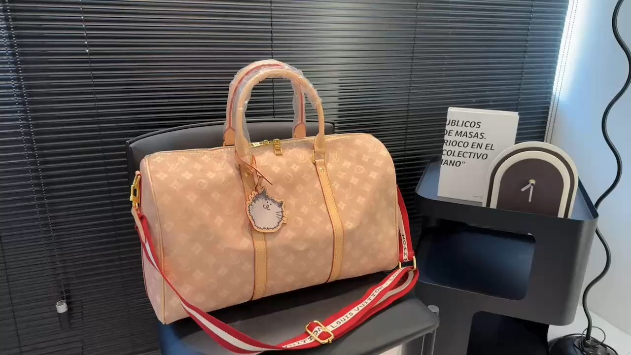 LV Travel Bag