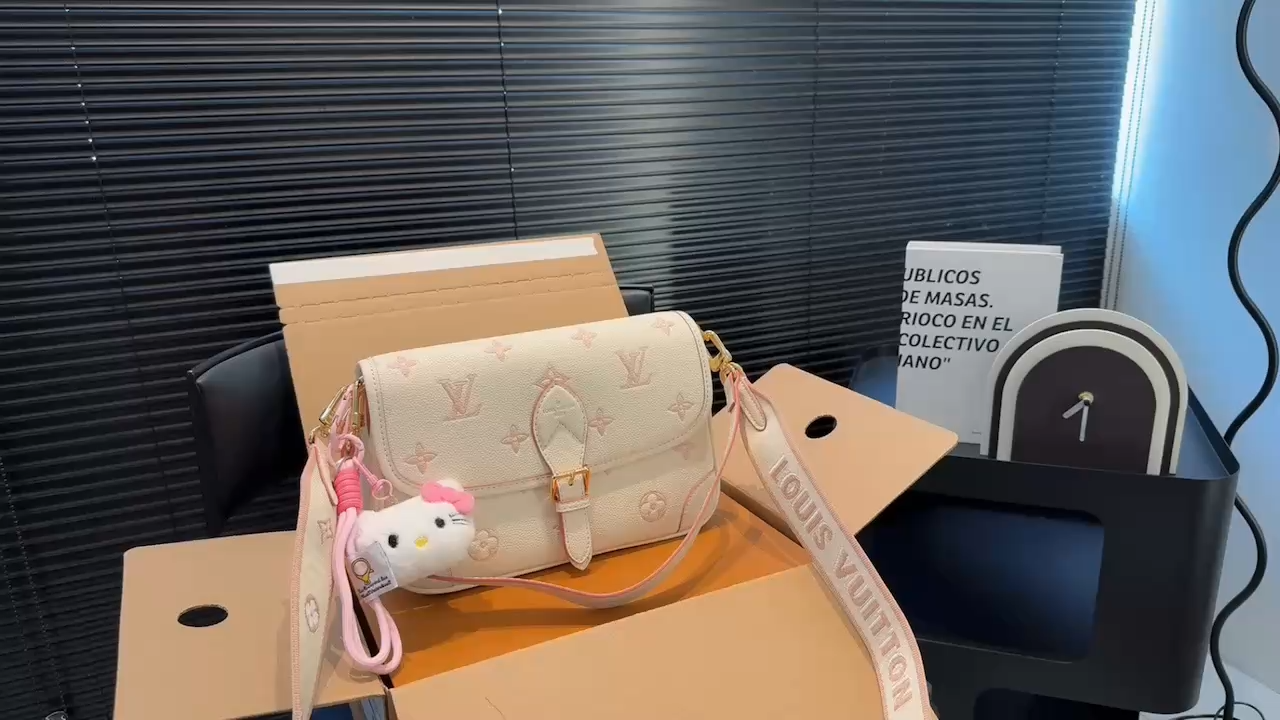 LV Sologne Baguette Bag