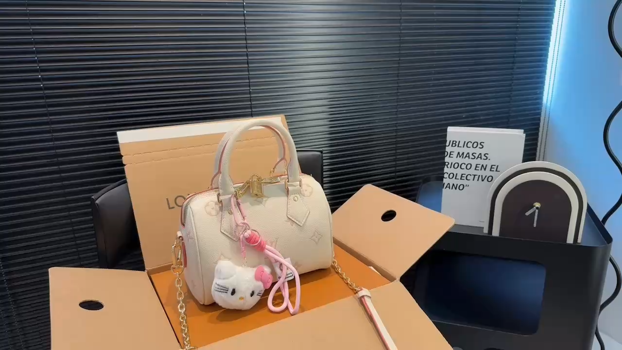 LV Speedy Pillow Bag
