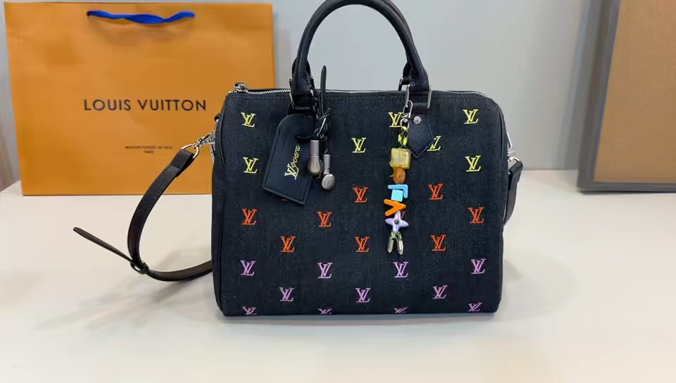 LV Speedy Collaboration Pillow Bag