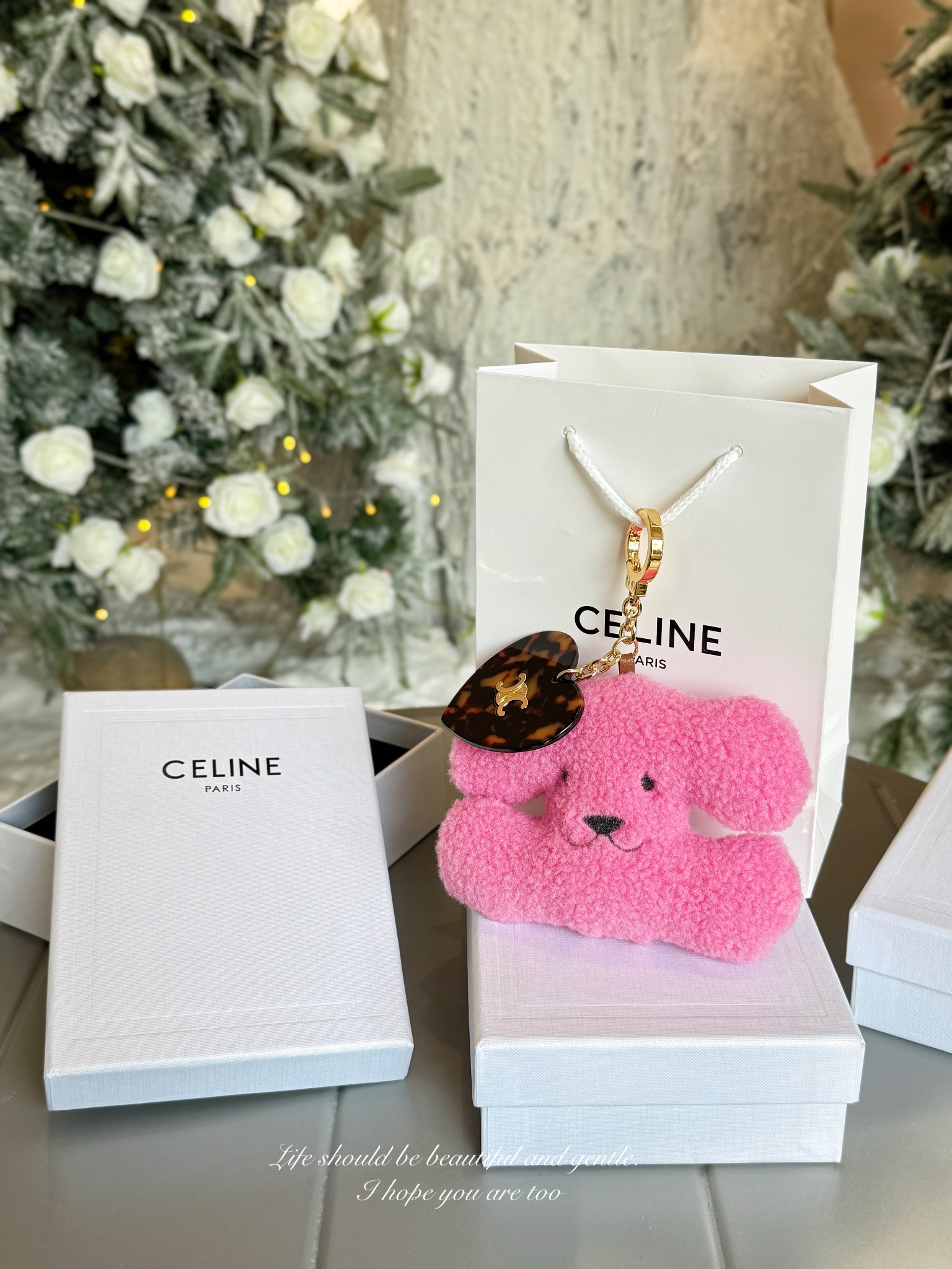 CELINE Accessories