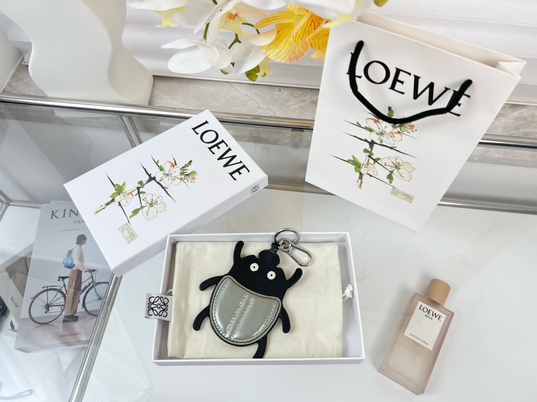 LOEWE Accessories