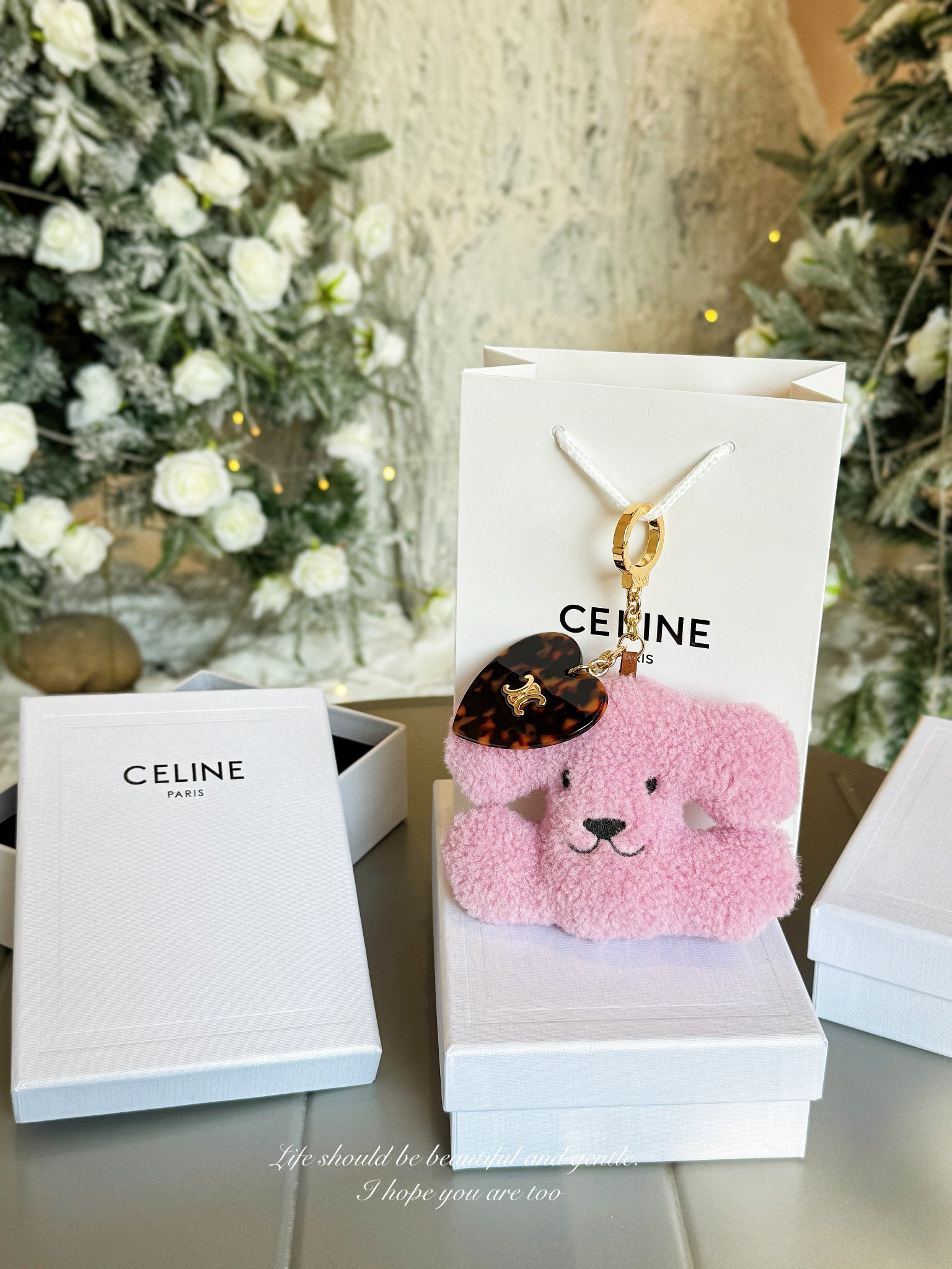 CELINE Accessories
