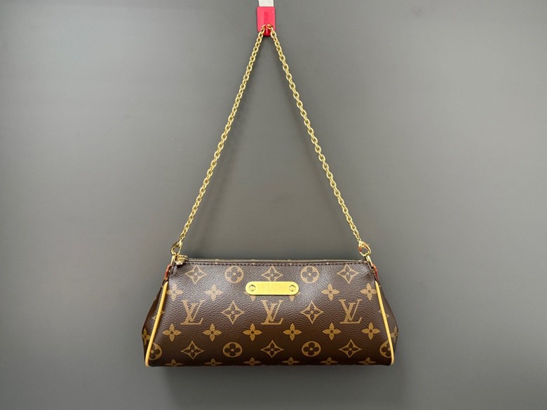 LV Monogram Bag