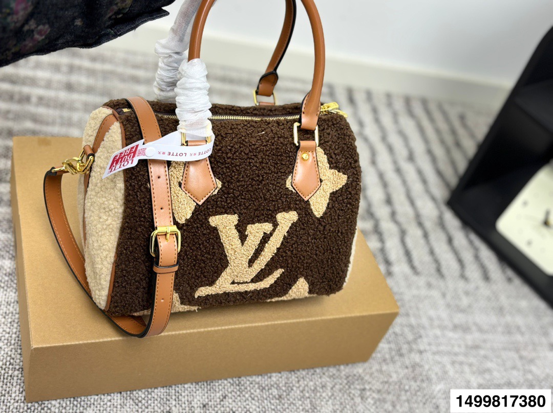 LV Speedy Handbag