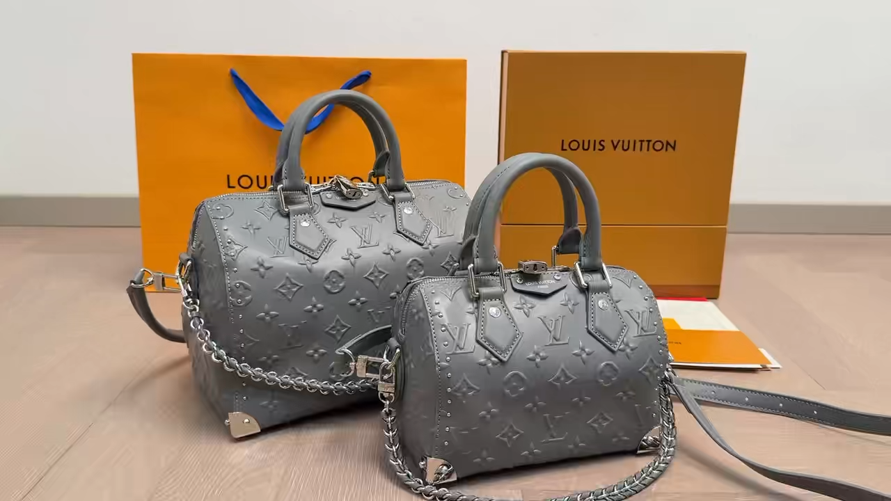 LV Speedy Studded Cushion Bag